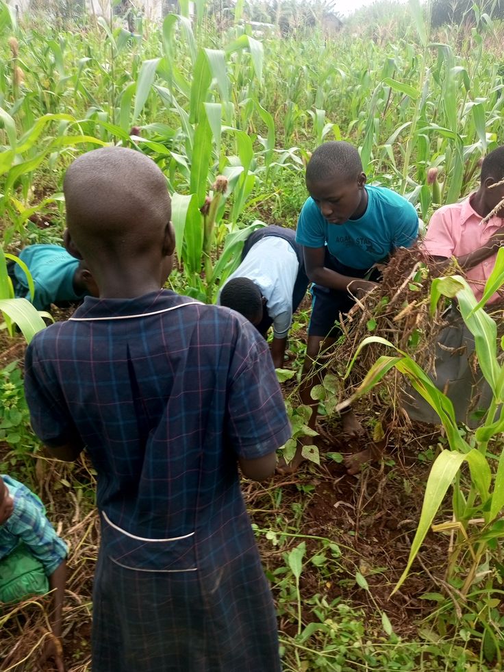 1ca0dd8224249feb5b38818af4308117