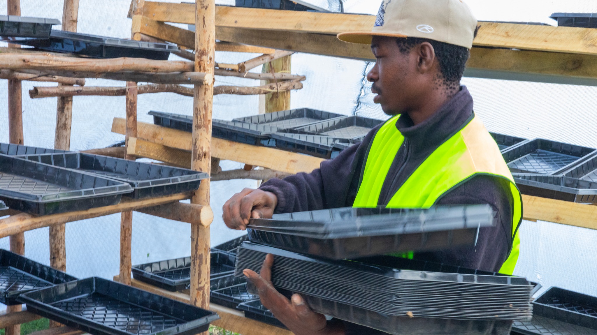 612042558 1223753986547248 6138554165871481188 n