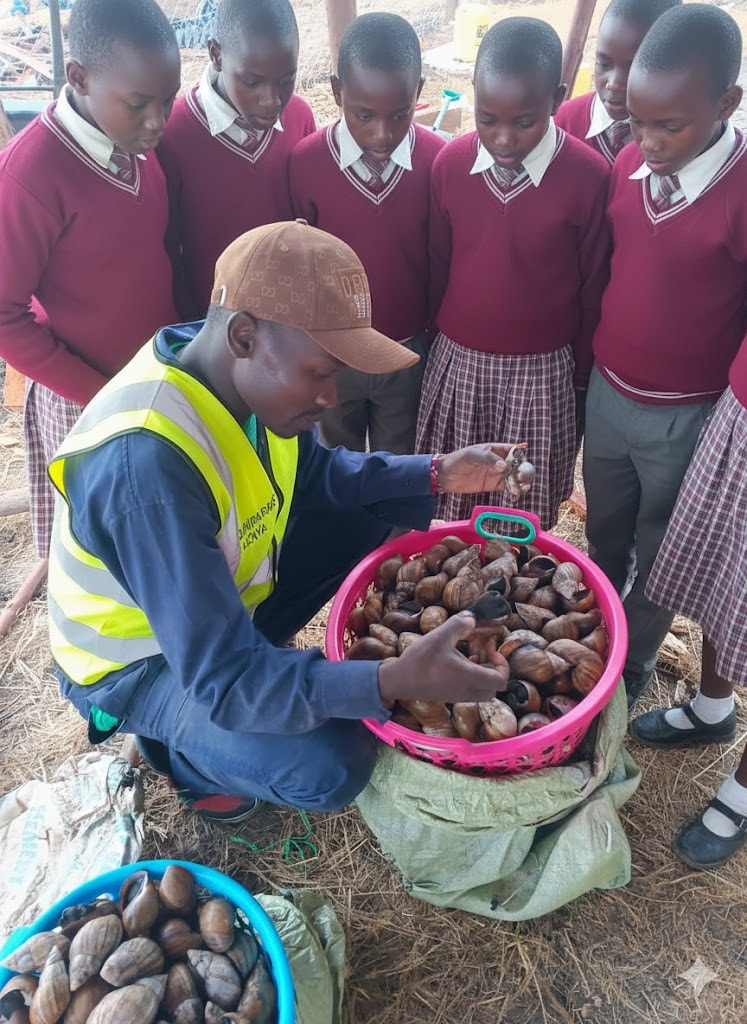 617834441 122170399706755629 2527663848917101253 n