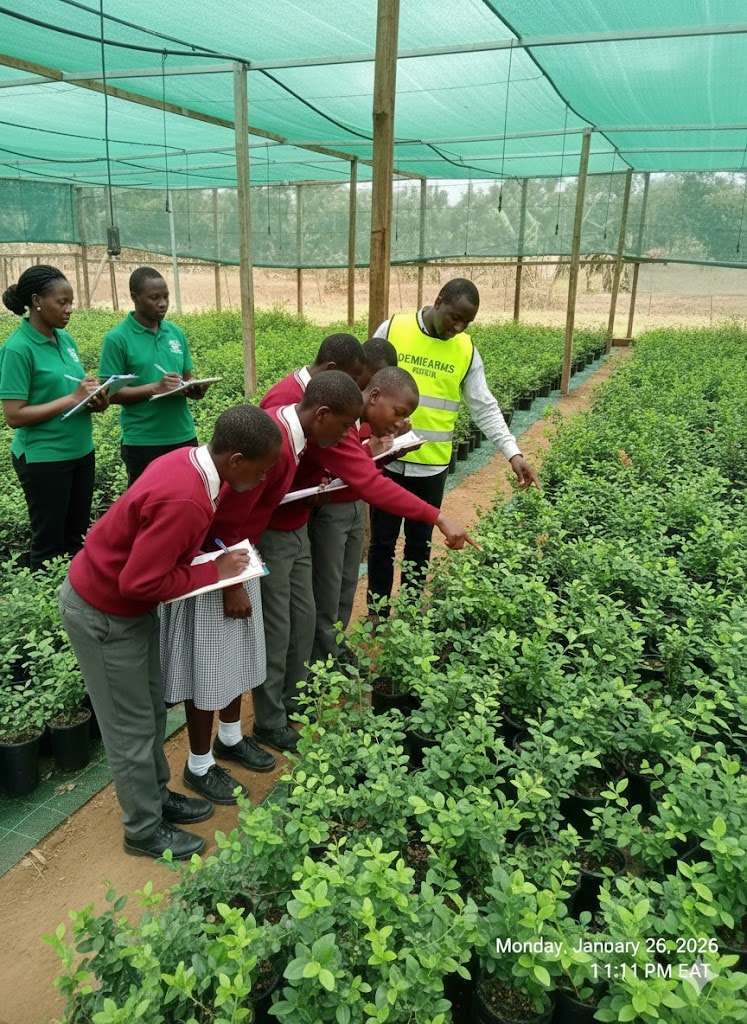 619702422 122170399658755629 75234938100216609 n