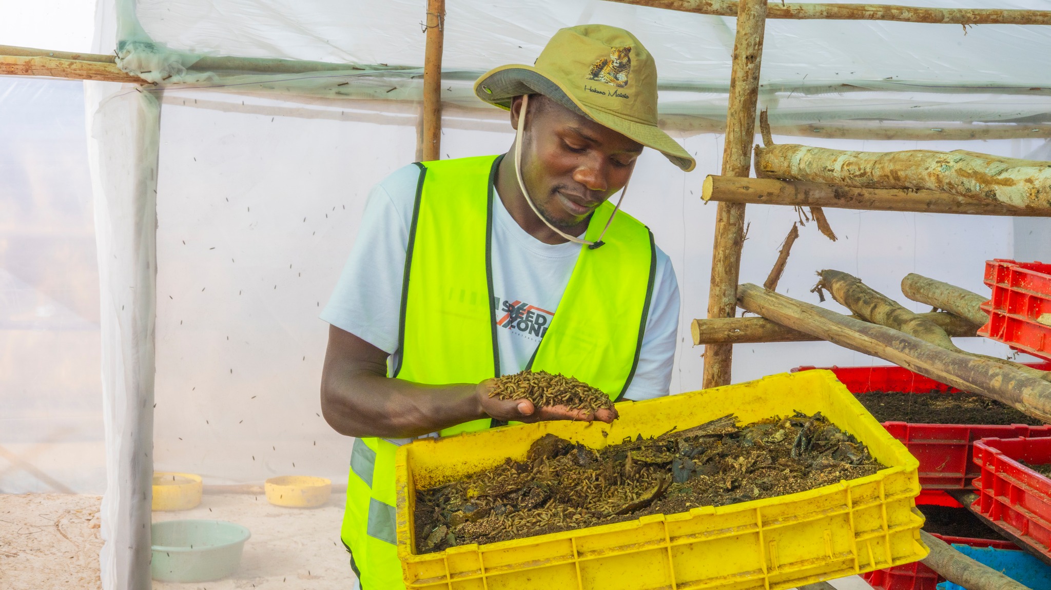 622300734 1236472091942104 6885582770993036374 n