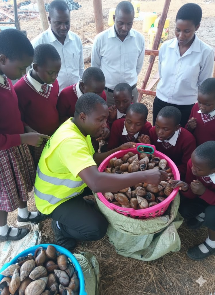 622849623 122170399760755629 2074834006651910964 n