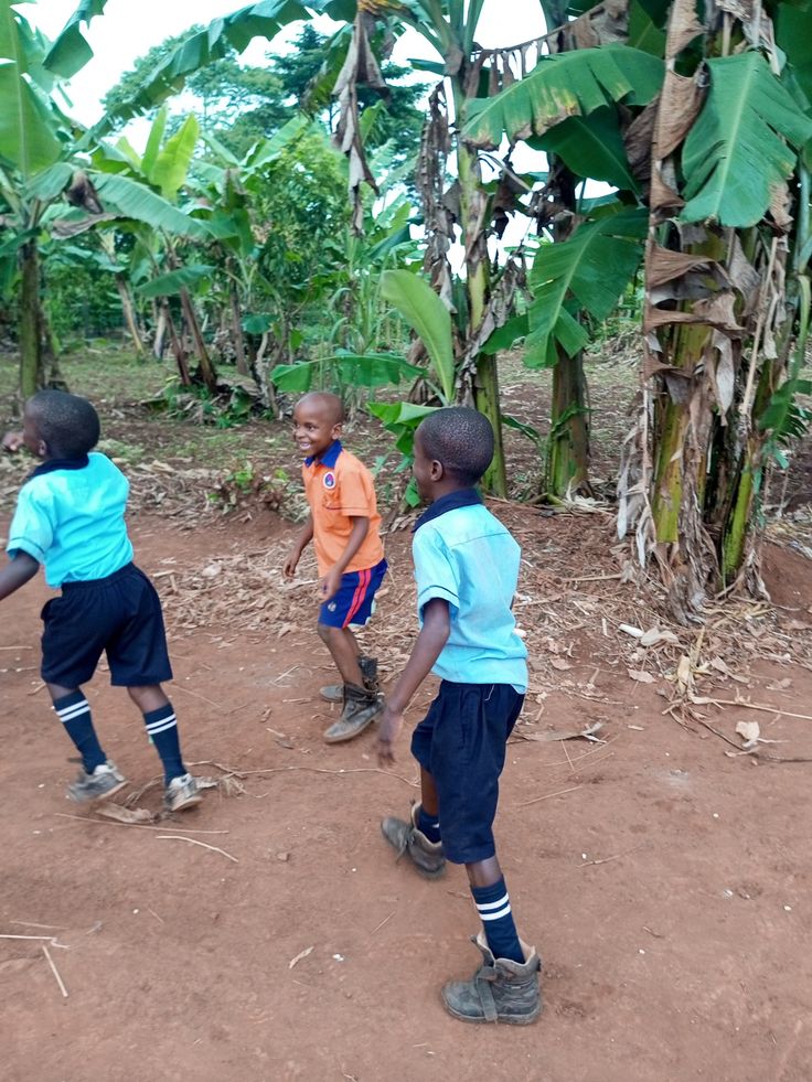 a5d300b499ae231582538cca9470ac5f