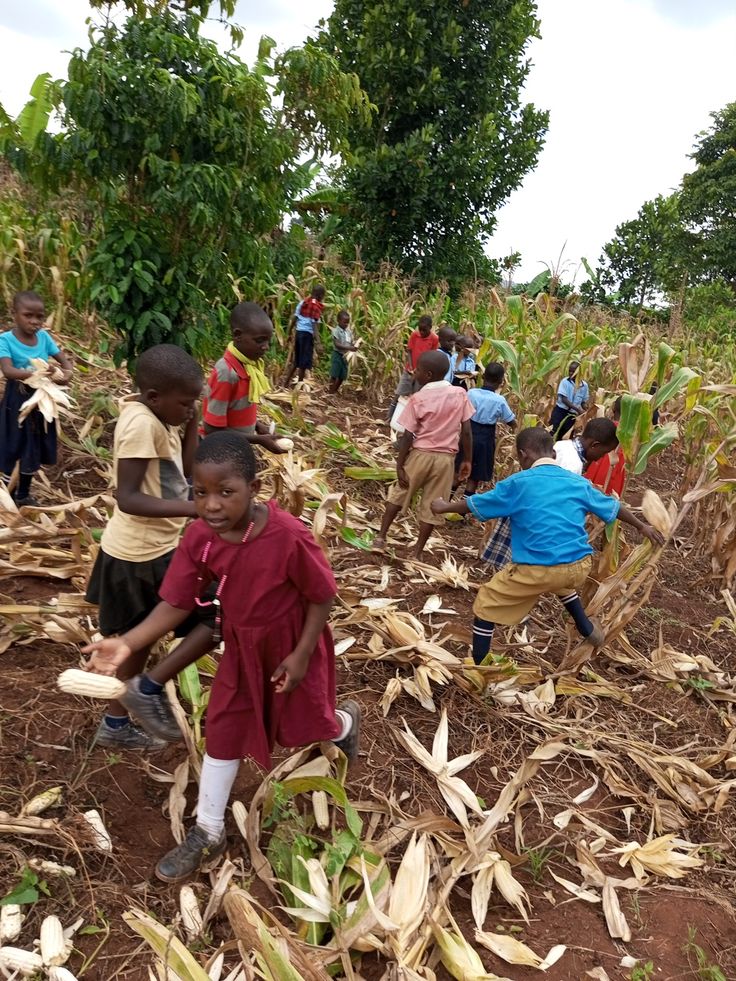 ef87566ce8fc1faaa42aa50fc8912f4f